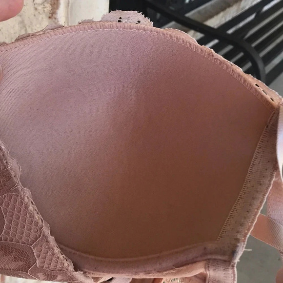 Blush Lace Lightly Padded Underwire Bra - Picture 8 of 8